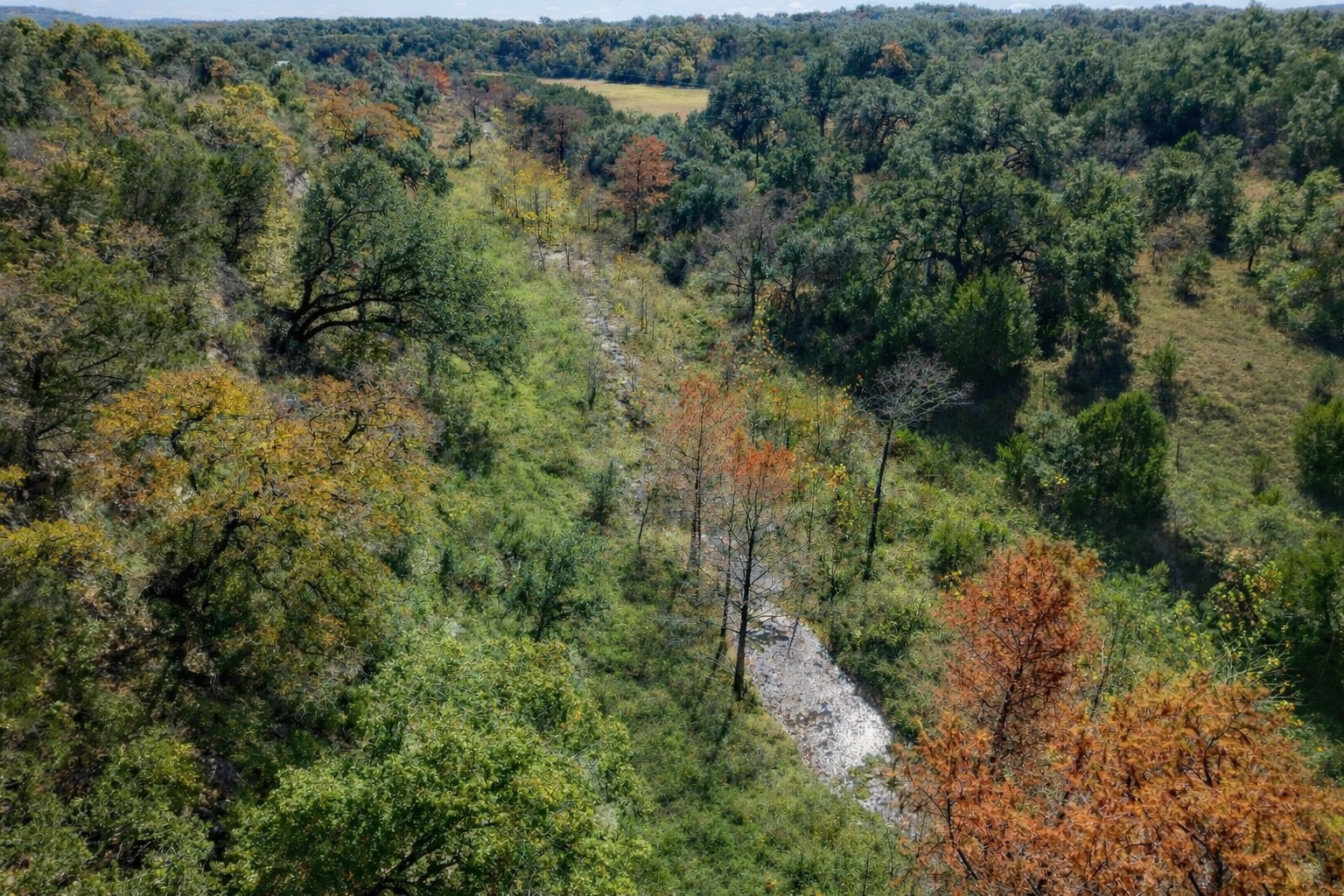 Onion Creeks runs through this beautiful property.