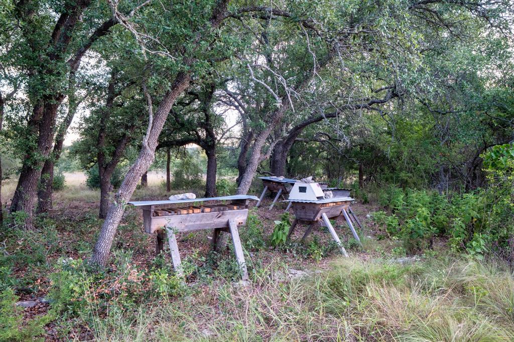 7275 Creek Road Dripping Springs, TX 78620 - Photo 16 of 19