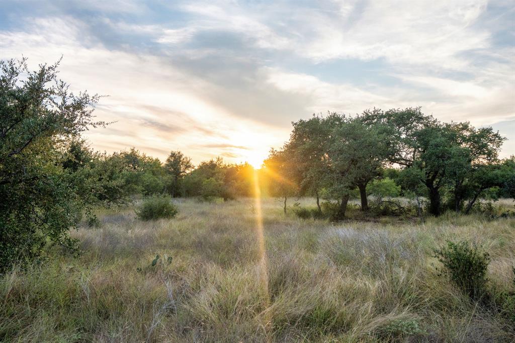 7275 Creek Road Dripping Springs, TX 78620 - Photo 9 of 19