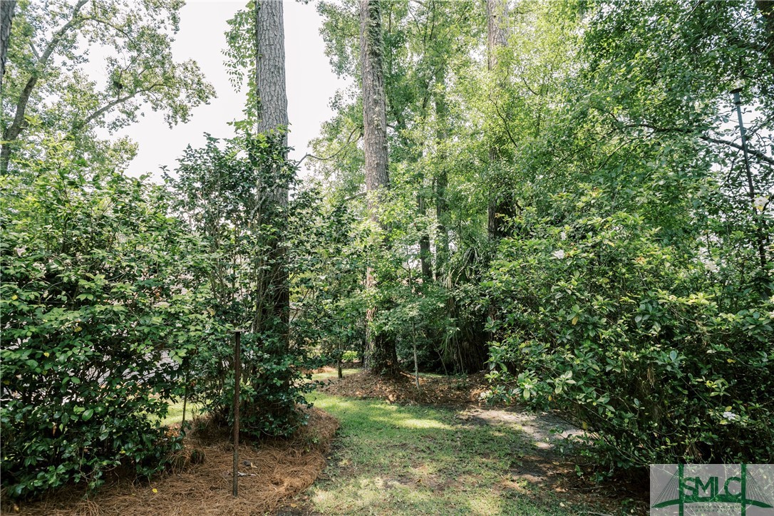 802 Birchwood Road Savannah, GA 31419 - Photo 32 of 33 Gallery Image 32