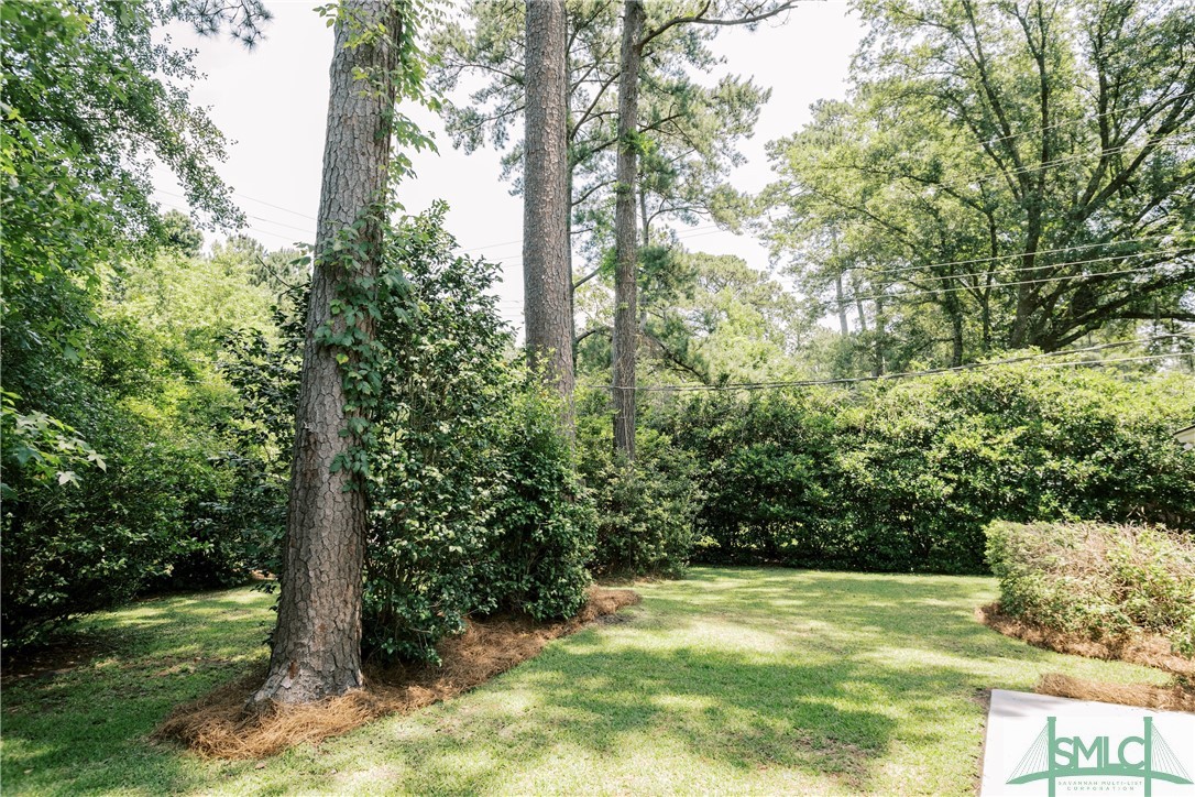 802 Birchwood Road Savannah, GA 31419 - Photo 33 of 33 Gallery Image 33
