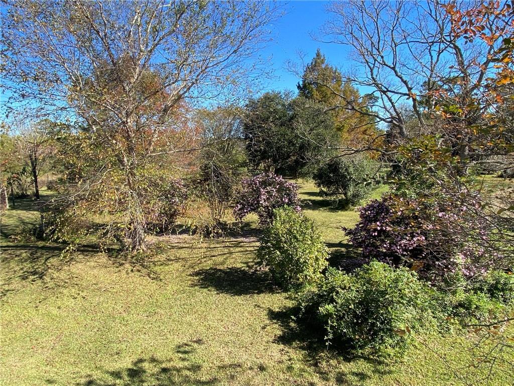 15279 Jack Fork Road Folsom, LA 70437 - Photo 24 of 37 Gallery Image 24