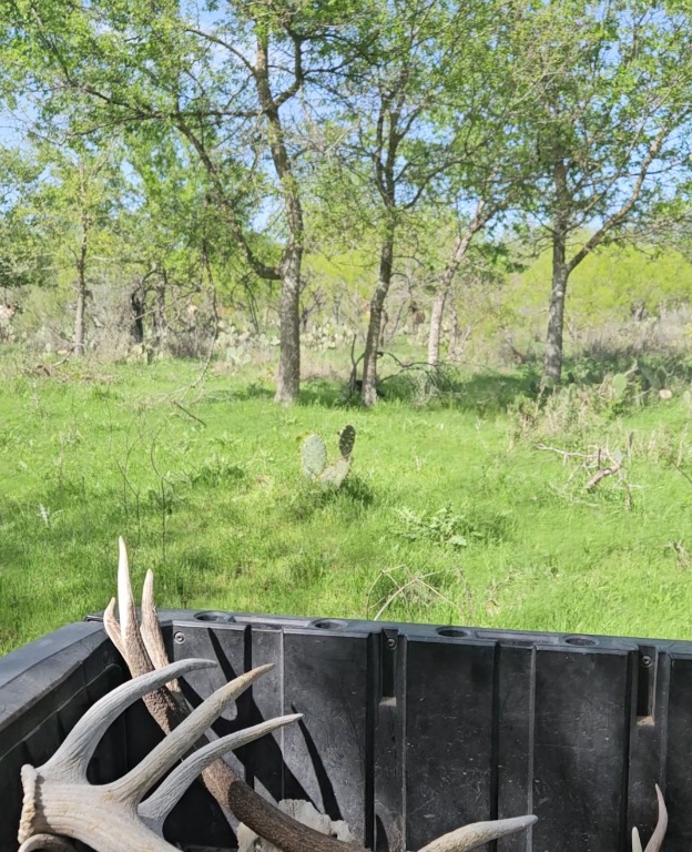 1988 Cr 116 Roads Rogers, TX 76569 - Photo 12 of 18 a view of yard with green space and seating area