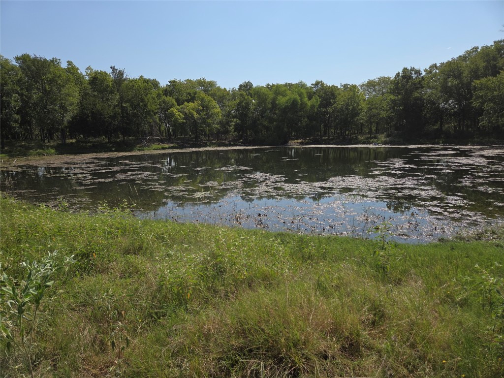 1988 Cr 116 Roads Rogers, TX 76569 - Photo 3 of 18 a view of a lake with a mountain