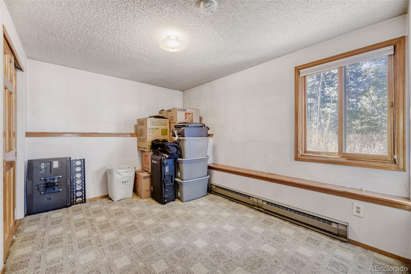 26196 Rea Avenue Conifer, CO 80433 - Photo 11 of 33