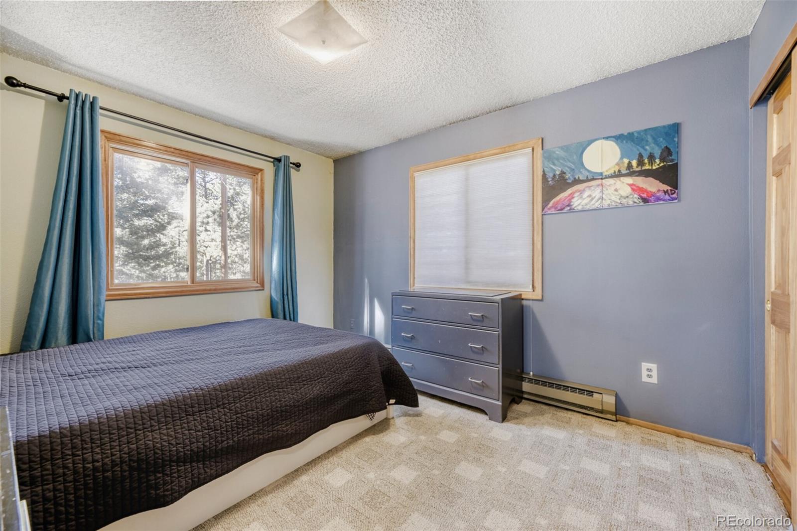 26196 Rea Avenue Conifer, CO 80433 - Photo 18 of 33