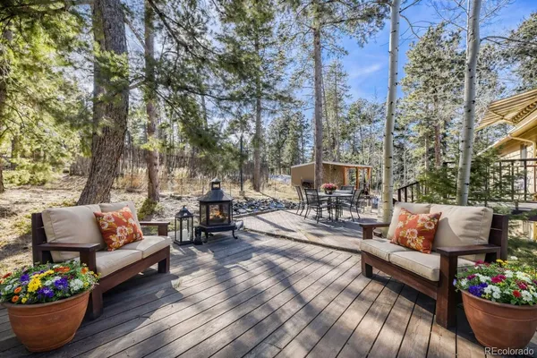 a outdoor space with lots of furniture and a potted plant