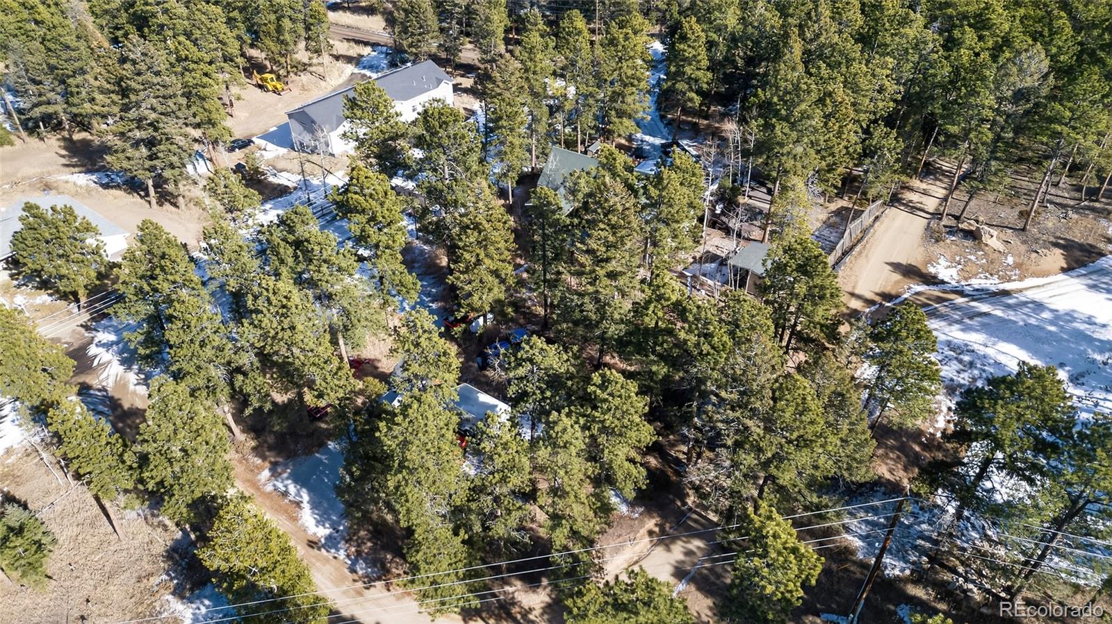 26196 Rea Avenue Conifer, CO 80433 - Photo 31 of 46 a view of a tree