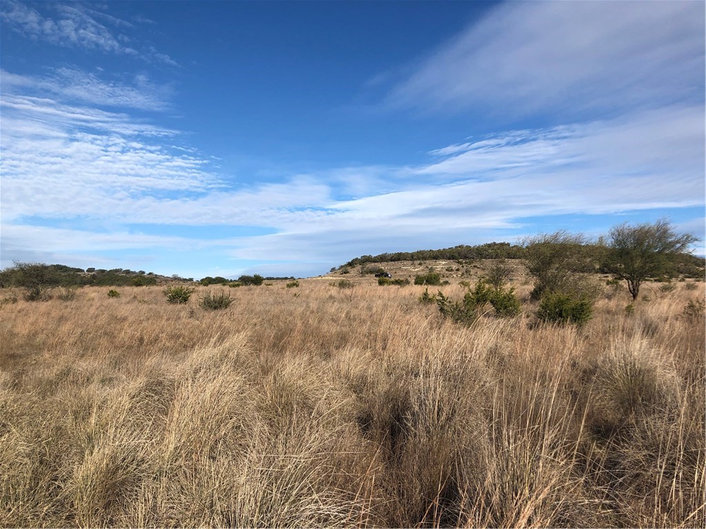 757 Brushy Top Trail Blanco, TX 78606 - Photo 1 of 1