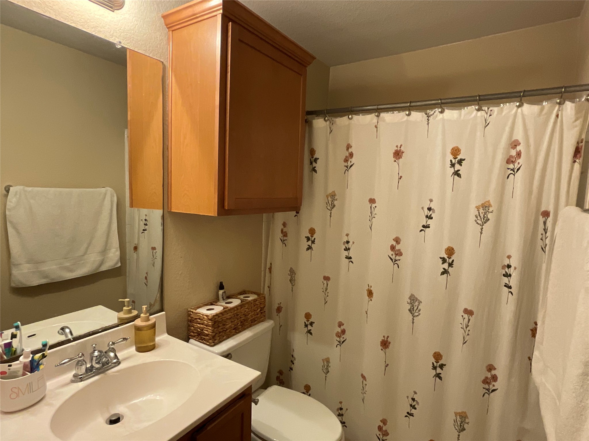 14013 Rountree Ranch Lane Austin, TX 78717 - Photo 13 of 19 Bathroom with vanity and curtained shower