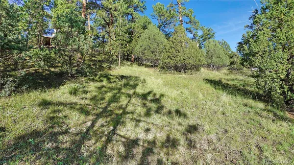 $110,000 | Bob Cat Trail, Bailey, CO 80421