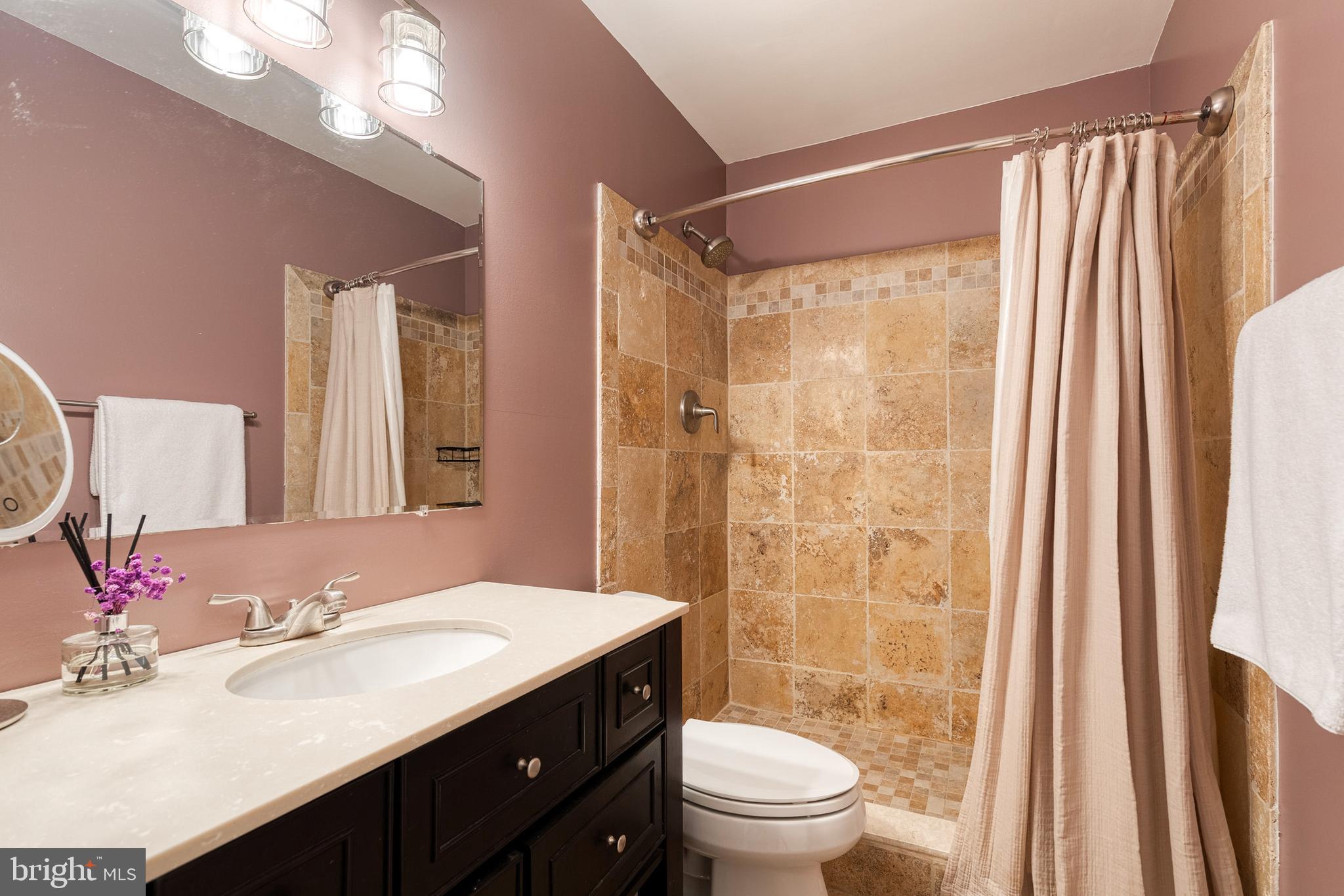 232 Cardamon Drive Edgewater, MD 21037 - Photo 32 of 44 a bathroom with a sink a toilet a mirror a vanity and shower