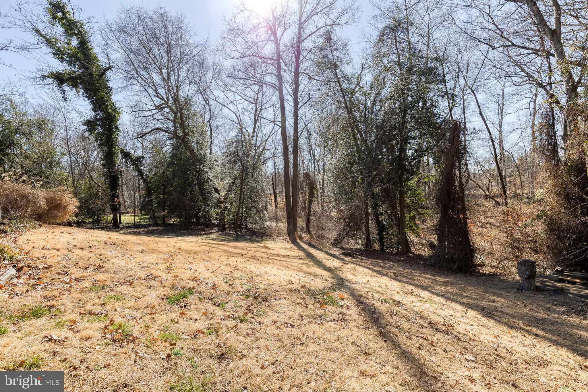 232 Cardamon Drive Edgewater, MD 21037 - Photo 39 of 44 a view of wooden fence and trees