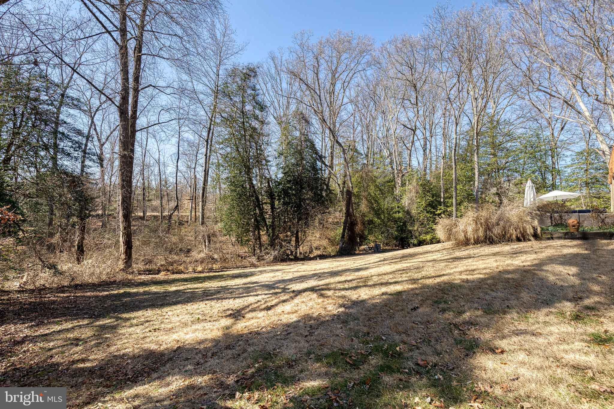 232 Cardamon Drive Edgewater, MD 21037 - Photo 40 of 44 a view of road with large trees