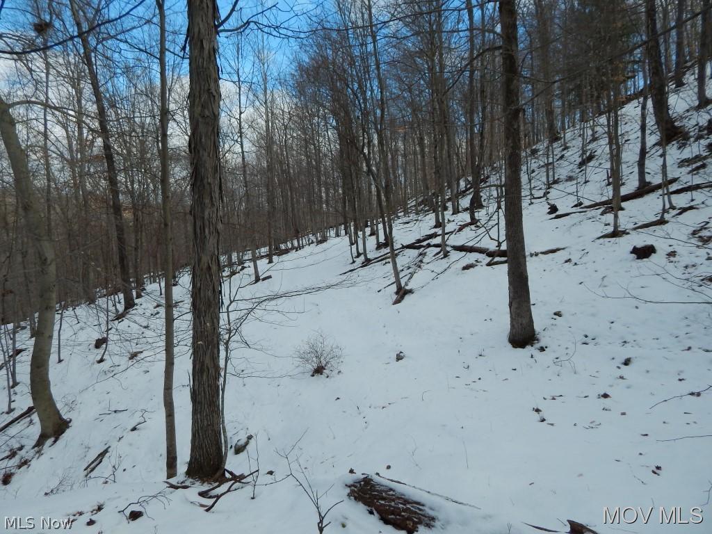 2117 Pullman Road Harrisville, WV 26362 - Photo 16 of 22
