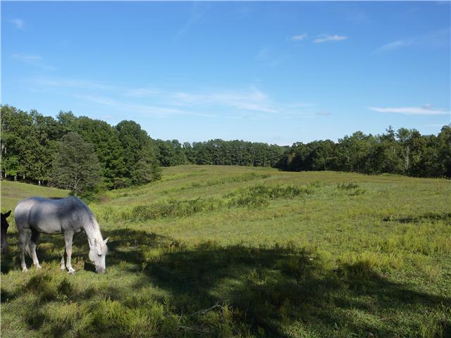 7192 Bahne Road Fairview, TN 37062 - Photo 1 of 20
