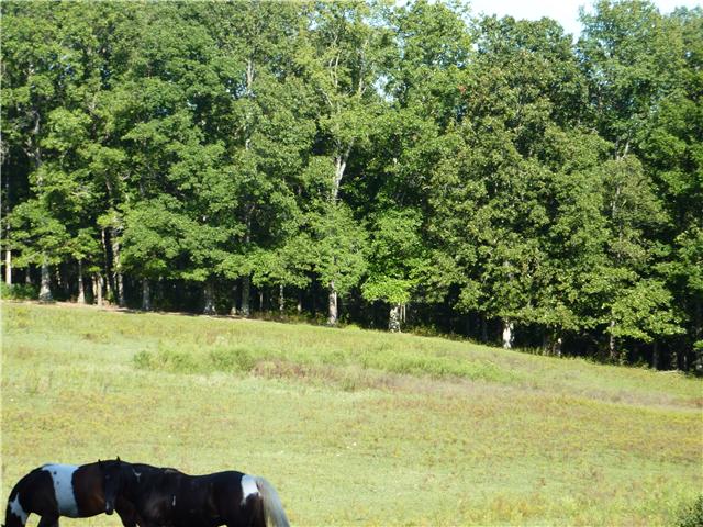 7192 Bahne Road Fairview, TN 37062 - Photo 2 of 20