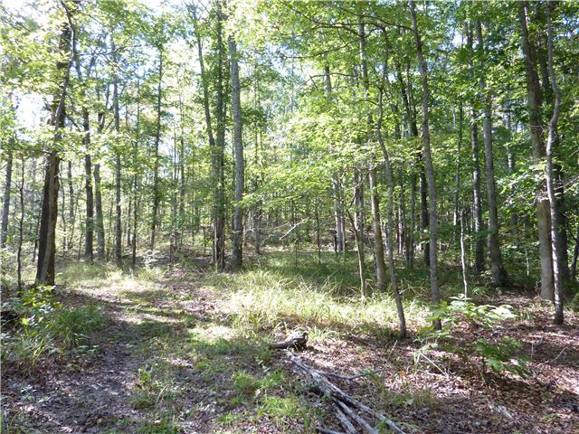 7192 Bahne Road Fairview, TN 37062 - Photo 11 of 20