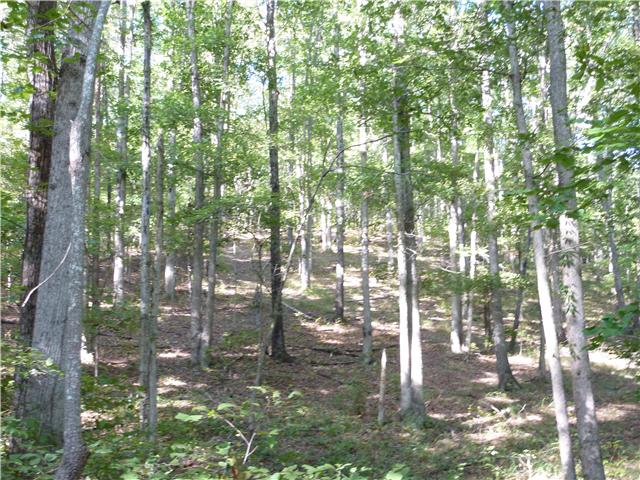 7192 Bahne Road Fairview, TN 37062 - Photo 12 of 20