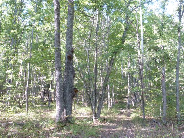 7192 Bahne Road Fairview, TN 37062 - Photo 13 of 20