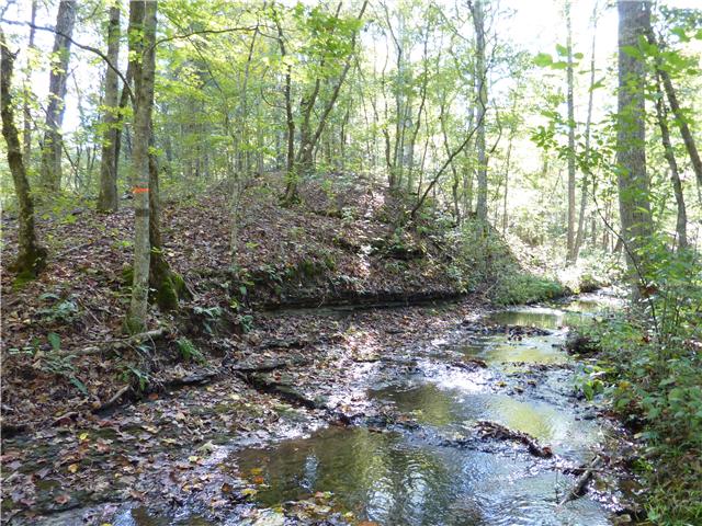 7192 Bahne Road Fairview, TN 37062 - Photo 15 of 20