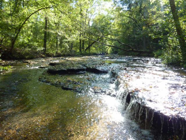 7192 Bahne Road Fairview, TN 37062 - Photo 16 of 20