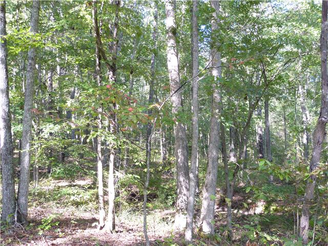 7192 Bahne Road Fairview, TN 37062 - Photo 18 of 20