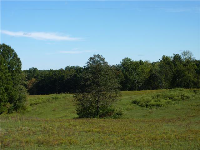 7192 Bahne Road Fairview, TN 37062 - Photo 19 of 20