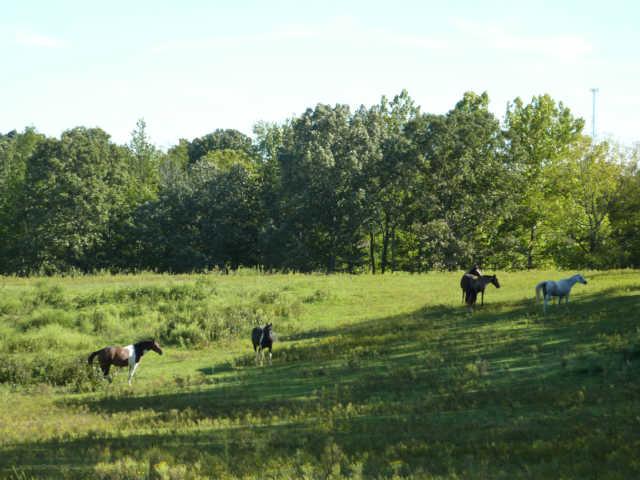 7192 Bahne Road Fairview, TN 37062 - Photo 20 of 20