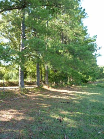 7192 Bahne Road Fairview, TN 37062 - Photo 3 of 20
