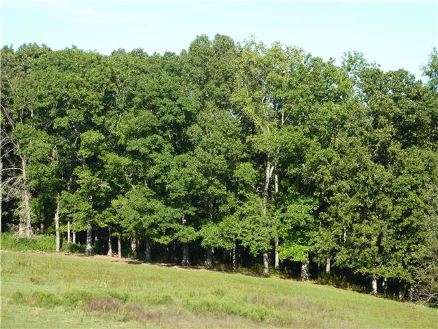 7192 Bahne Road Fairview, TN 37062 - Photo 4 of 20