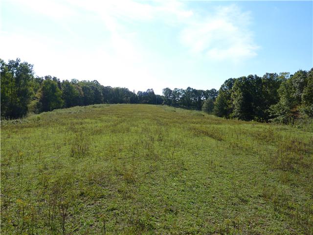 7192 Bahne Road Fairview, TN 37062 - Photo 6 of 20