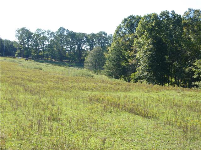 7192 Bahne Road Fairview, TN 37062 - Photo 7 of 20