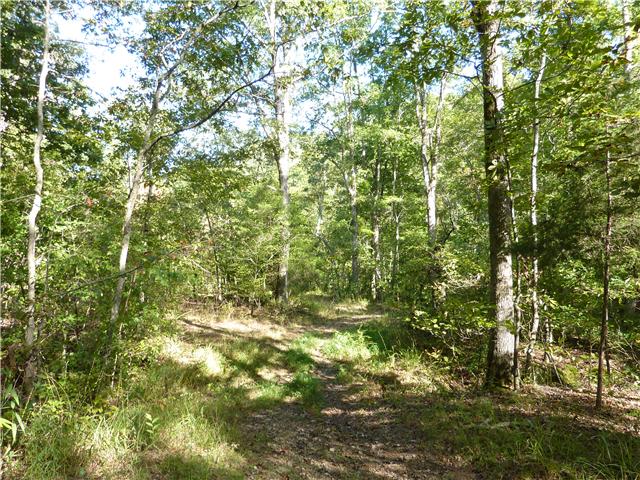 7192 Bahne Road Fairview, TN 37062 - Photo 10 of 20