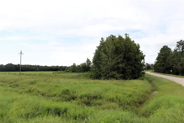 a view of grassy field with trees