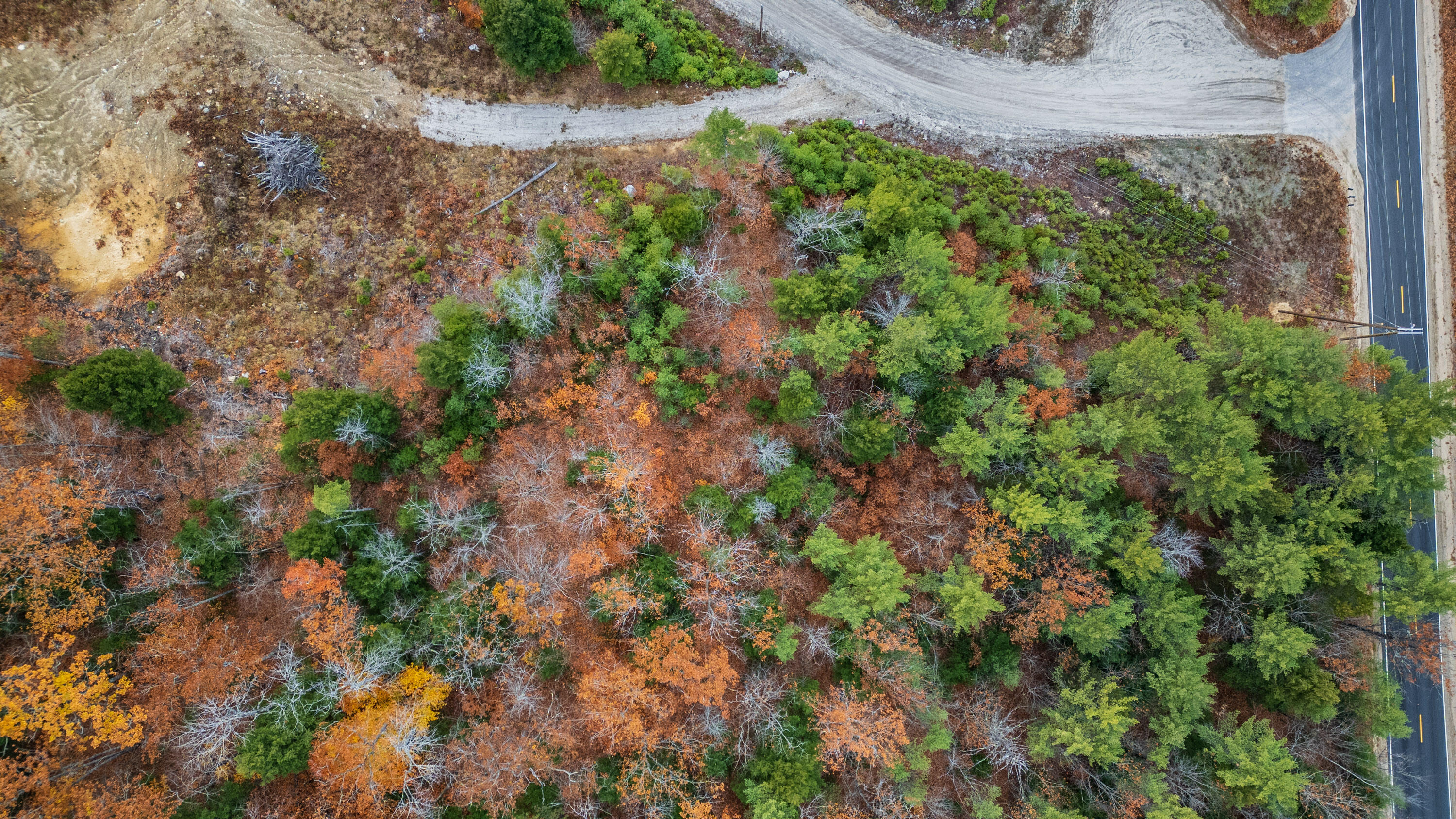 20 Carsons Way Harrison, ME 04040 - Photo 12 of 13 20251103gp-60023