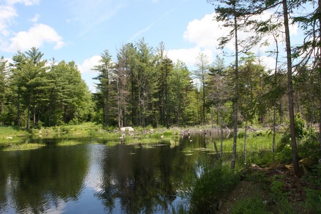 217 Smith Brook Road Ellsworth, ME 04605 - Photo 23 of 23 Pond