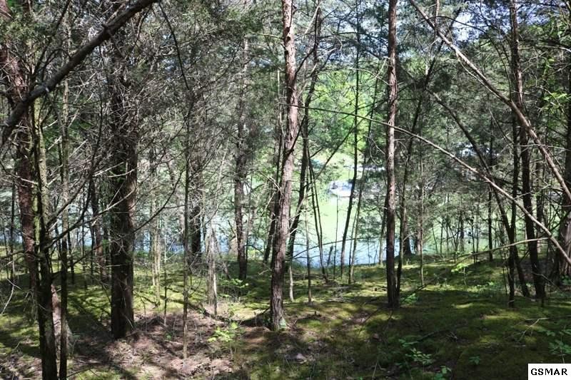 0 Lot 35 Buck Horn Road Sevierville, TN 37876 - Photo 7 of 30