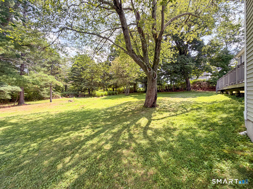 662 Coleman Road Cheshire, CT 06410 - Photo 35 of 40