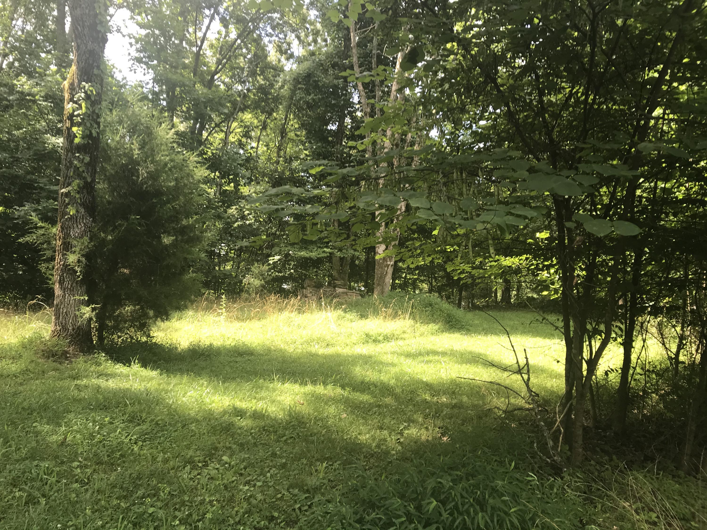 2784 Devault Bridge Road, Unit 2748 Piney Flats, TN 37686 - Photo 3 of 7 3680483E-293F-4FF6-95E4-813646B5107C