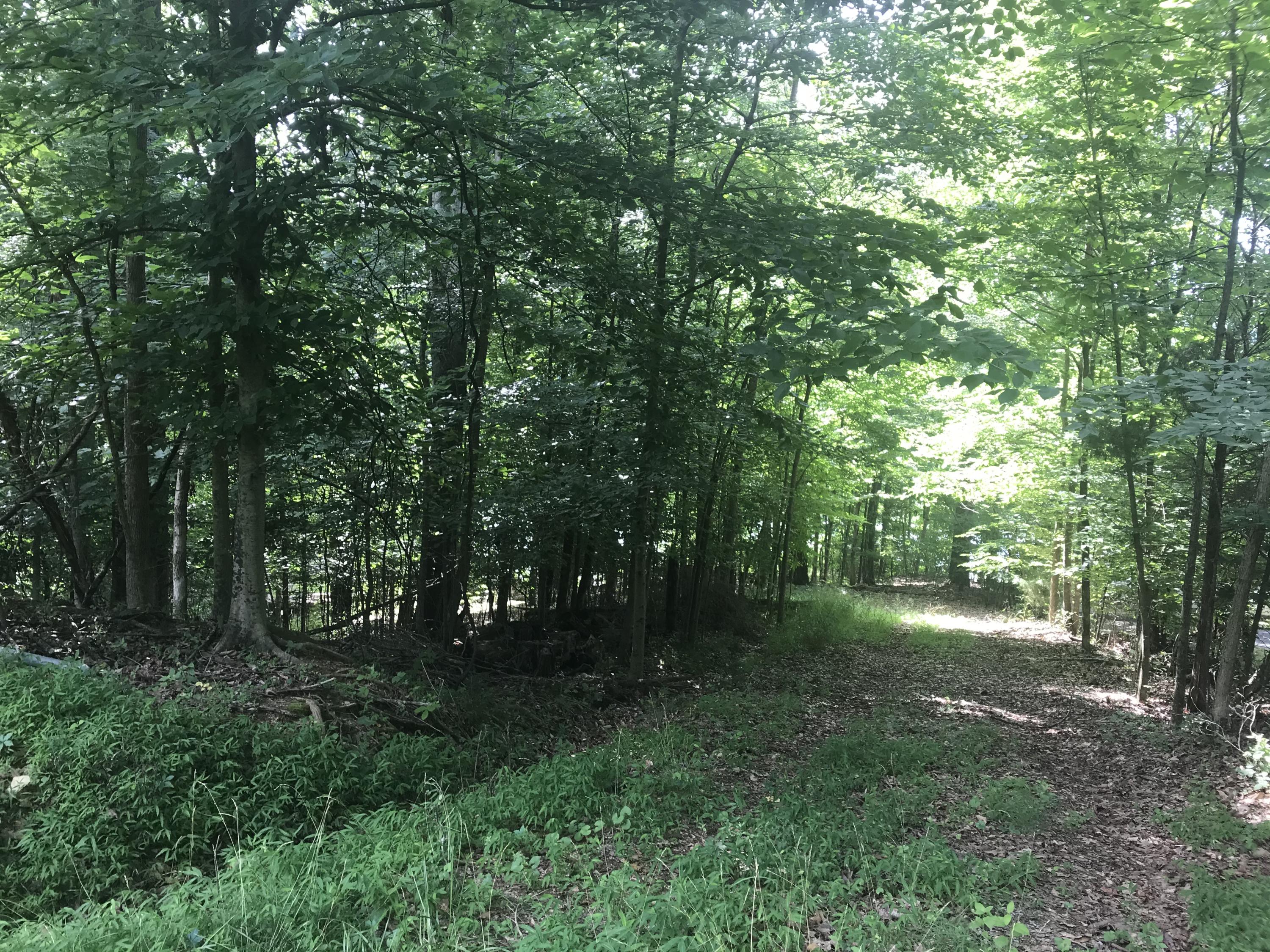 2784 Devault Bridge Road, Unit 2748 Piney Flats, TN 37686 - Photo 4 of 7 4C11D154-2F65-421D-BFF7-70DED34106CD