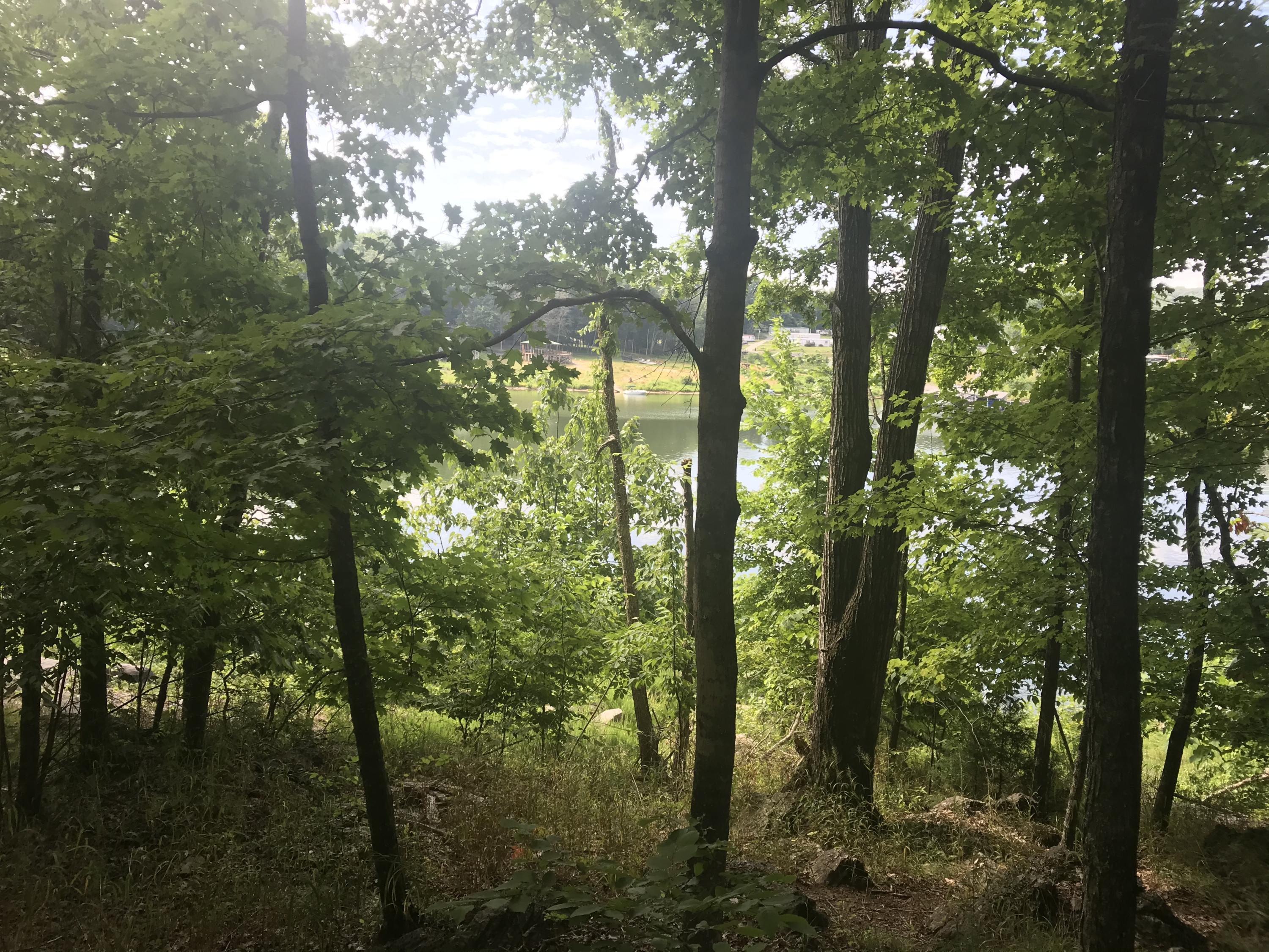 2784 Devault Bridge Road, Unit 2748 Piney Flats, TN 37686 - Photo 5 of 7 AD957D6A-9383-4B4A-B2DD-C408F29D112B