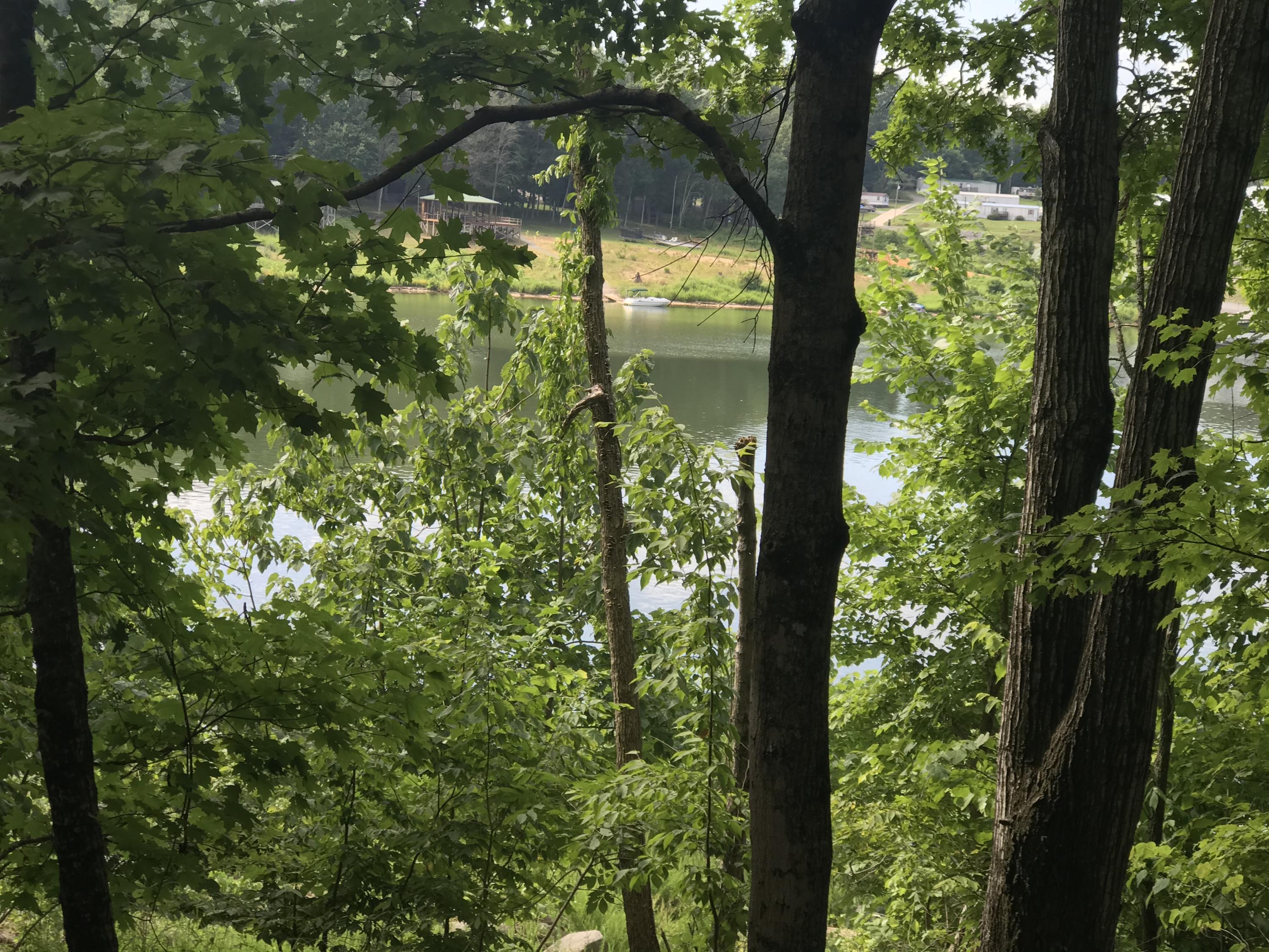 2784 Devault Bridge Road, Unit 2748 Piney Flats, TN 37686 - Photo 6 of 7 A43E1899-ACE6-4B29-9355-D85E77AF4782