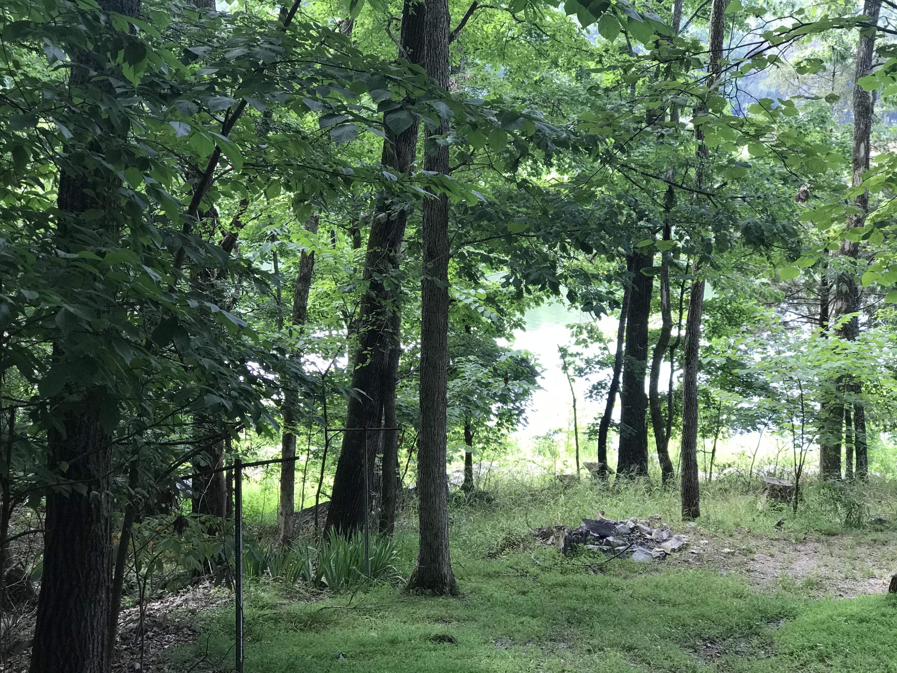 2784 Devault Bridge Road, Unit 2748 Piney Flats, TN 37686 - Photo 7 of 7 180E9E94-B986-494F-99E1-B3AF7CB0B9E1