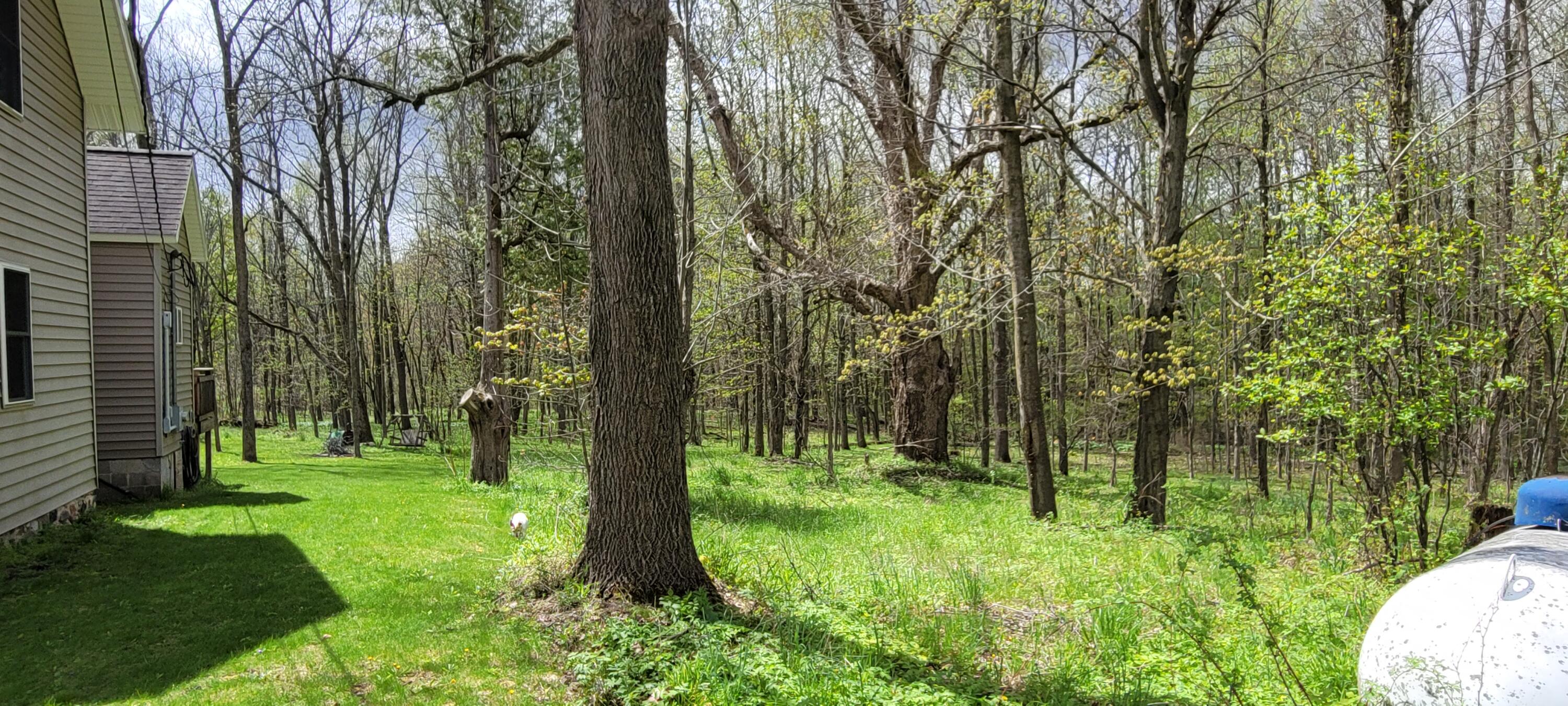 3937 East Hazel Road Hart, MI 49420 - Photo 33 of 46 20210507_123658