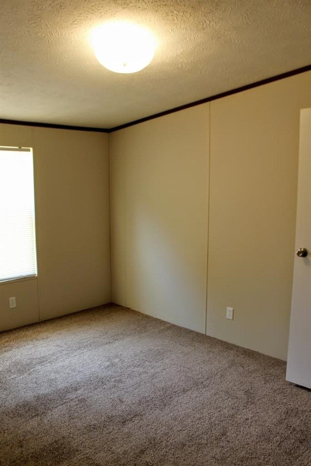 65 Lee Seal Road Albright, WV 26519 - Photo 8 of 31 Gallery Image 8