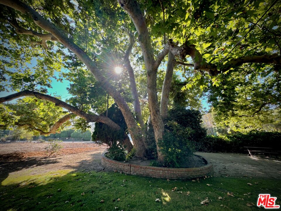 5838 Bonsall Drive Malibu, CA 90265 - Photo 3 of 31 a view of a backyard