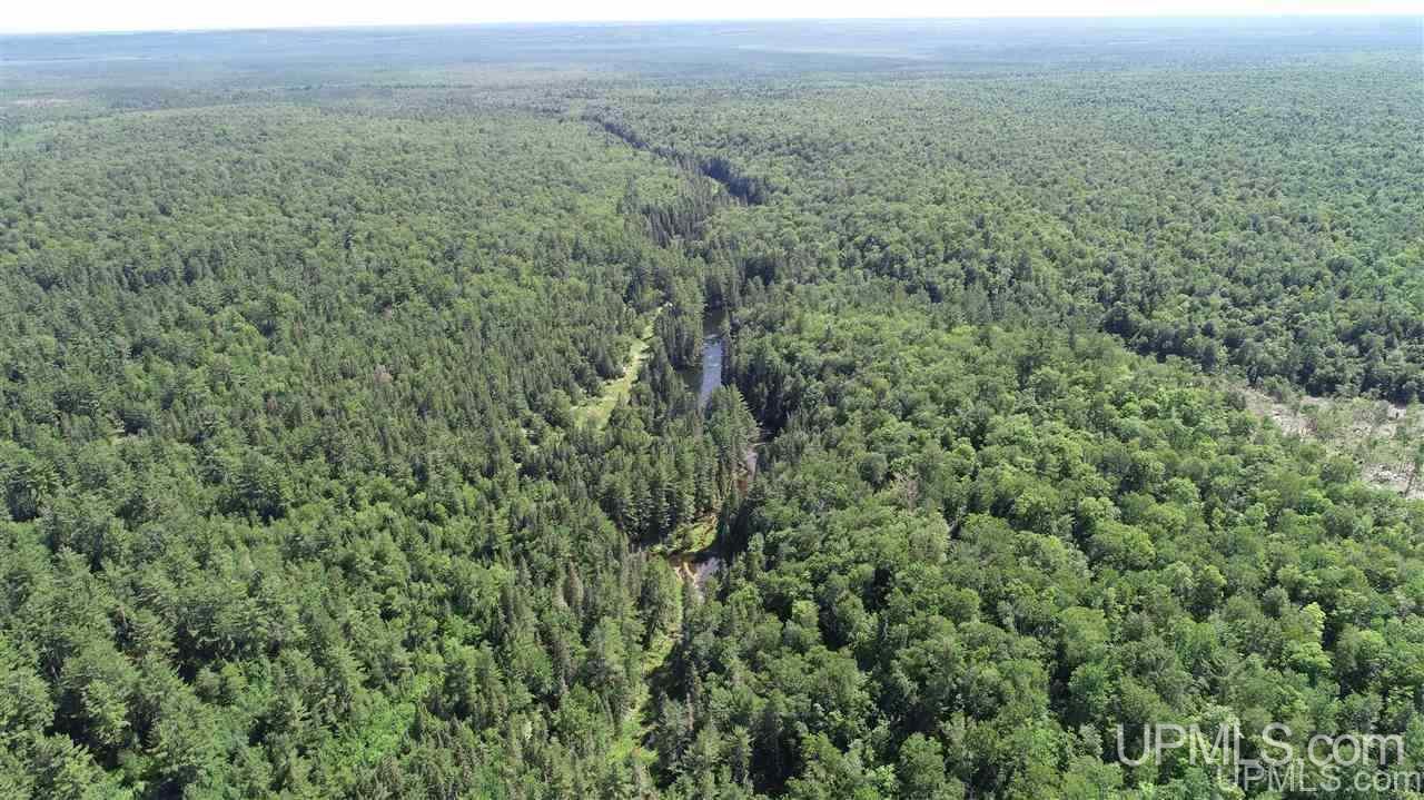 2804-acres Co Rd 442 McMillan, MI 49853 - Photo 3 of 48