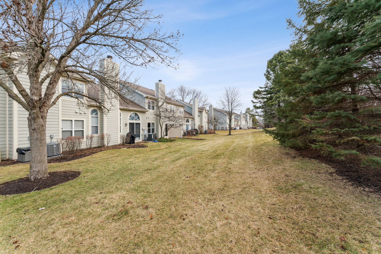 159 West Hamilton Drive Palatine, IL 60067 - Photo 20 of 24 a view of a large house with a large tree