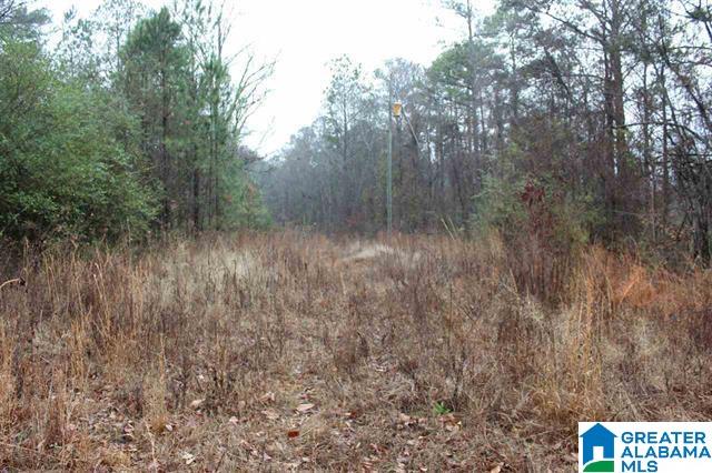 2191 Coldwater Road Anniston, AL 36201 - Photo 1 of 25
